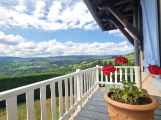 Maison spacieuse avec jardin clos, animaux acceptés - FR-1-496-291 - 3