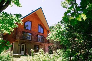 Domaine Appalaches 20 Incredible view and spa - Saint-Paul-de-Montminy - 9