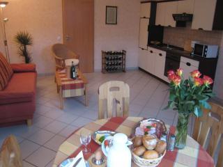 Apartment in Germany near Vineyards, cleaning included - Kinheim - 3