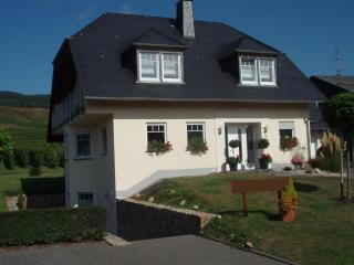 Apartment in Germany near Vineyards, cleaning included - Kinheim - 9