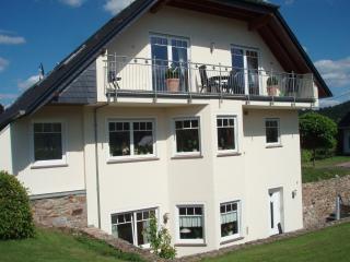 Apartment in Germany near Vineyards, cleaning included - Kinheim - 5