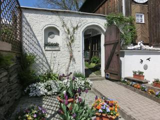 Apartment in Thuringian Forest with garden, cleaning included - Deesbach - 1