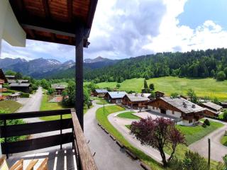 Appartement T3 à La Clusaz, proche pistes, parking et Wi-Fi, pour 6 personnes - FR-1-459-246 - La Clusaz - 6