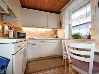 Apartment in Thuringian Forest with garden, cleaning included - Deesbach - 8