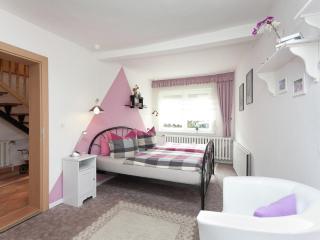 Apartment in Thuringian Forest with garden, cleaning included - Deesbach - 7