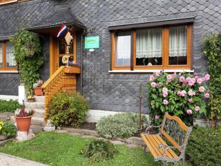 Apartment in Thuringian Forest with garden, cleaning included - Deesbach - 5