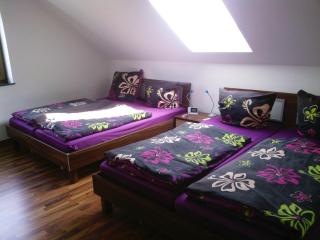 Feuerscheid Countryside Mansion, cleaning included - 2
