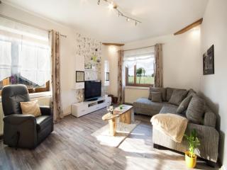 Spacious apartment with terrace Zur Forelle, cleaning included - Ballenstedt - 0