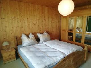 House in Harz with River Access, cleaning included - Kamschlacken - 1