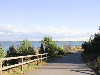 House by Lake Partwitz with Stunning Water Views, cleaning included - Elsterheide - 4