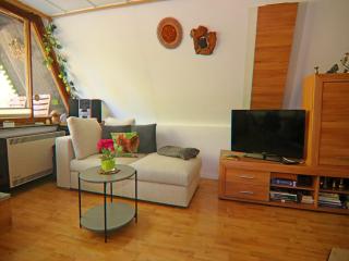 Ferienhaus in Perlin mit Garten, cleaning included - Perlin - 7