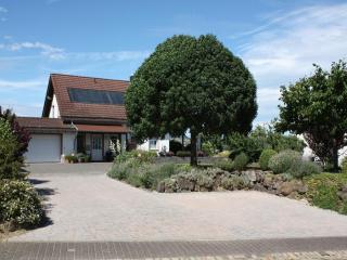 Rommersheim Forest Retreat, cleaning included - 5