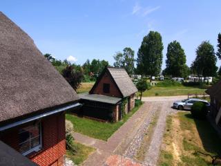 Apartment near Baltic Sea with Sauna & Terrace, cleaning included - Mönkebude - 7