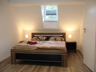 Holiday home in Elbingerode with garden, cleaning included - Rübeland - 7