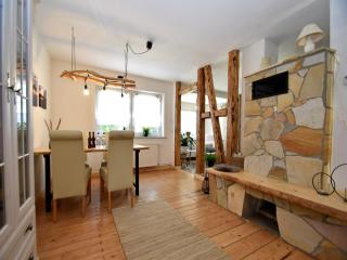 Holiday home in Hüttenrode with infrared sauna, cleaning included - Hüttenrode - 1