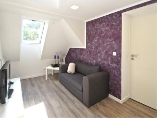 Holiday home in Elbingerode with garden, cleaning included - Rübeland - 0
