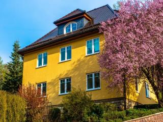 Apartment Schönbrunn near Ski Lift & Forest, cleaning included - Schönbrunn - 9