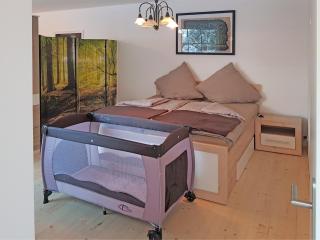 Spacious Haven in Wildemann, cleaning included - 7