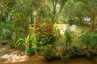 Lotus Retreat - 1