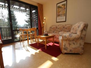 Ferienwohnung im Haus Schiefertal, Wieda, cleaning included - Wieda - 6