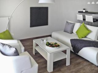 Aparthotel by Lake Heidensee with Boat Rentals, cleaning included - Schwerin - 5