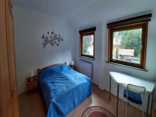 Flat in Wildemann near Hahnenklee Ski Area, cleaning included - Wildemann - 2
