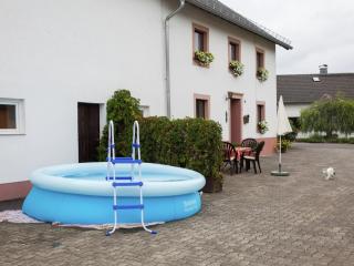Farmhouse in Eifel near Schwarzer Mann, cleaning included - Hontheim - 8