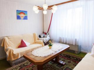 Farmhouse in Eifel near Schwarzer Mann, cleaning included - Hontheim - 2