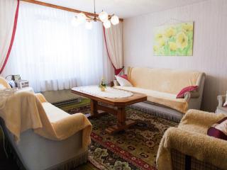 Farmhouse in Eifel near Schwarzer Mann, cleaning included - Hontheim - 3