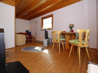 Ferienhaus , Tanne, cleaning included - Tanne - 5