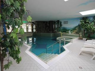 Ferienhaus , Tanne, cleaning included - Tanne - 0