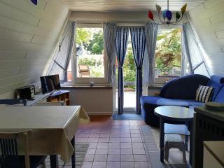 Roof House near Dümmer See with Rowing Boat, cleaning included - Perlin - 7