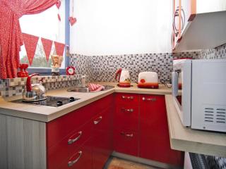 Roof House near Dümmer See with Rowing Boat, cleaning included - Perlin - 6