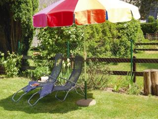 Roof House near Dümmer See with Rowing Boat, cleaning included - Perlin - 1