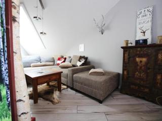 Apartment Jagdschloesschen, Bad Sachsa, cleaning included - Bad Sachsa - 6