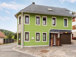 Bright apartment in a district of Ilmenau, cleaning included - Stützerbach - 4