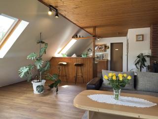 Apartment near Great Sea with Surfing, cleaning included - - 6