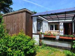 Holiday home in Cattenstedt Harz with garden, cleaning included - Cattenstedt - 4
