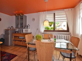 Ferienwohnung Sunrise, Steinbach-Hallenberg, cleaning included - Kurort Steinbach-Hallenberg - 4