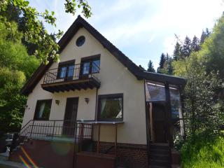 Holiday Home in Hellenthal Forest Retreat, cleaning included - Hellenthal - 2
