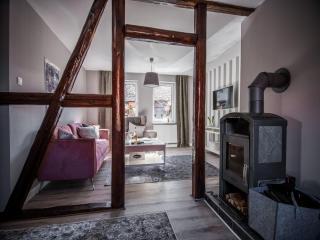 Apartment in Harz with Terrace and Fireplace, cleaning included - Stapelburg - 7