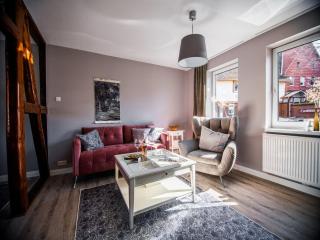 Apartment in Harz with Terrace and Fireplace, cleaning included - Stapelburg - 1