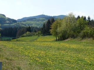Cosy holiday home with garden, cleaning included - Medebach - 3