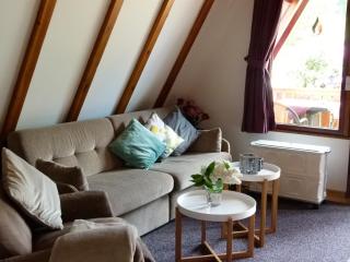 Cosy holiday home with garden, cleaning included - Medebach - 0