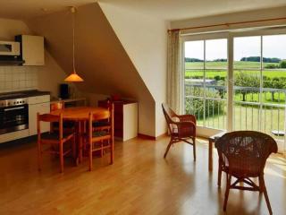 Apartment in Lonvitz near Rasender Roland, cleaning included - Putbus - 5