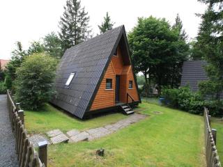 Cottage by Harz Lake near Ski Slopes, cleaning included - Clausthal-Zellerfeld - 9