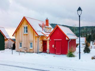 Holiday Home in Schierke for 7 Person, cleaning included - Schierke - 4