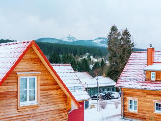 Holiday Home in Schierke for 7 Person, cleaning included - Schierke - 5