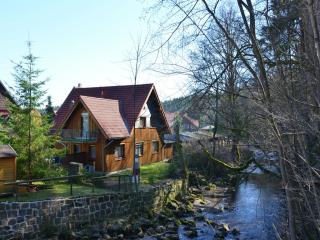 Holiday home Hexenstieg in the Harz Mountains, cleaning included - Elend - 5