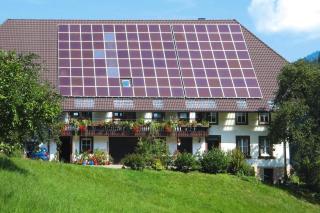 Holiday Home in Hornberg near Triberg Falls, cleaning included - Hornberg - 0